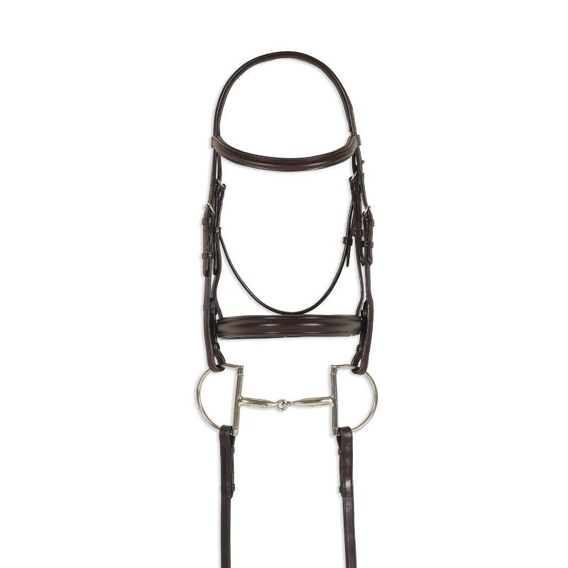 Ovation Breed Plain Raised Padded Bridle
