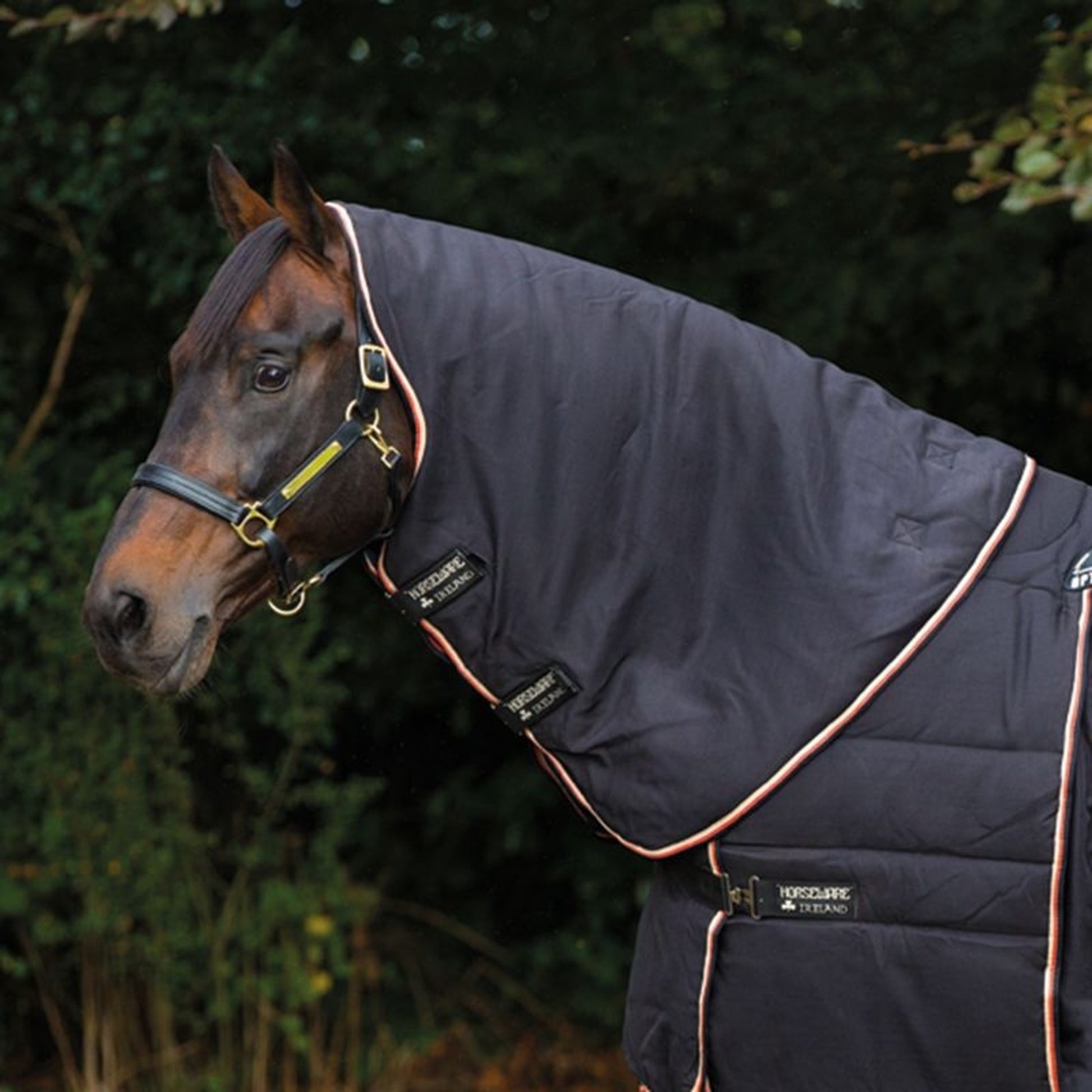Rambo Optimo Stable Hood