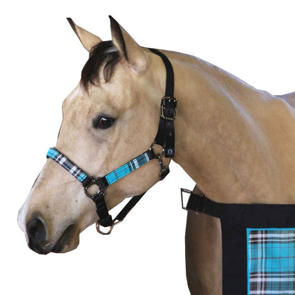 Kensington Halter NB