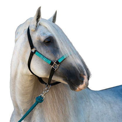 Kensington Breakaway Halter