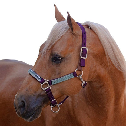 Kensington Breakaway Halter