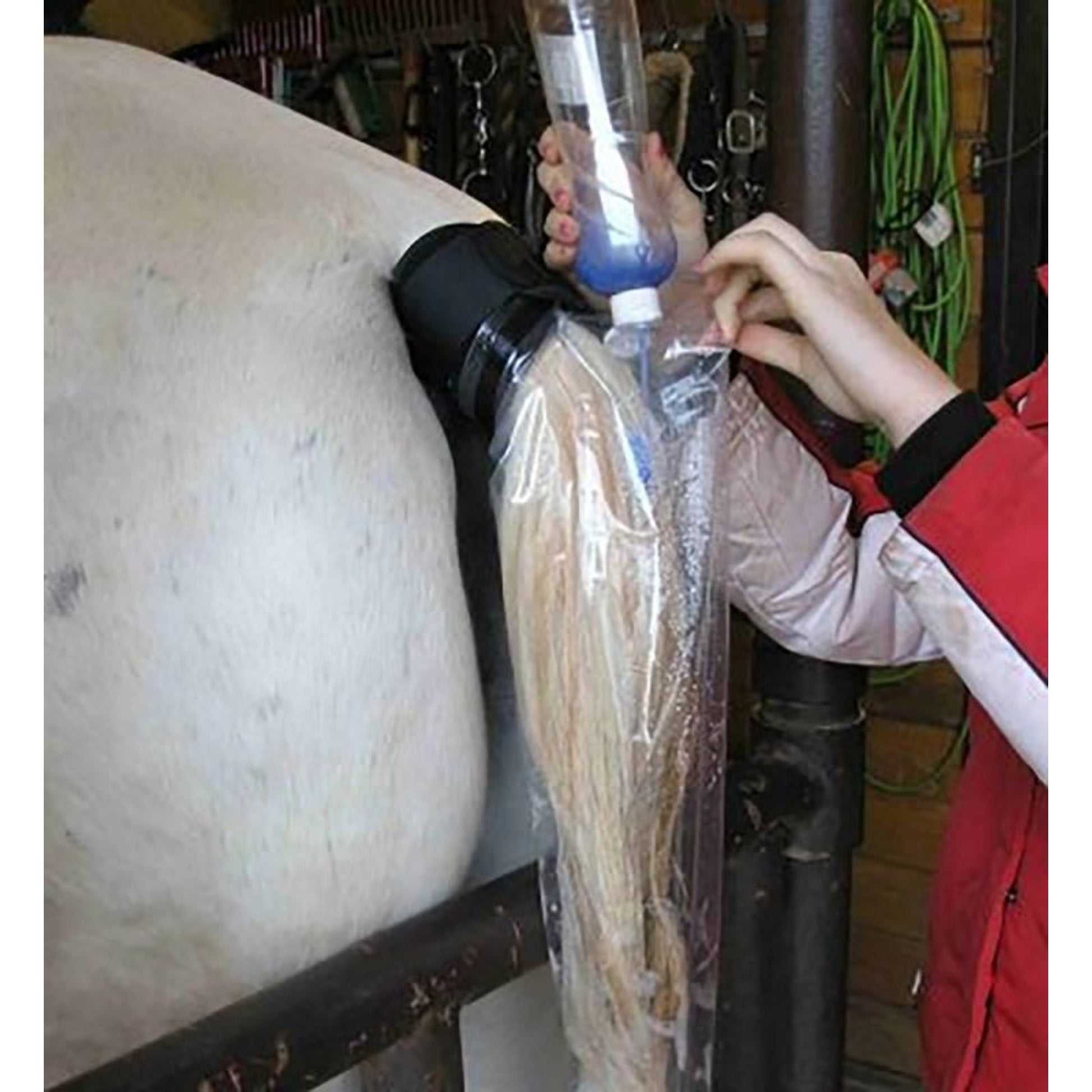Horse Spa Tail Bucket Starter Kit