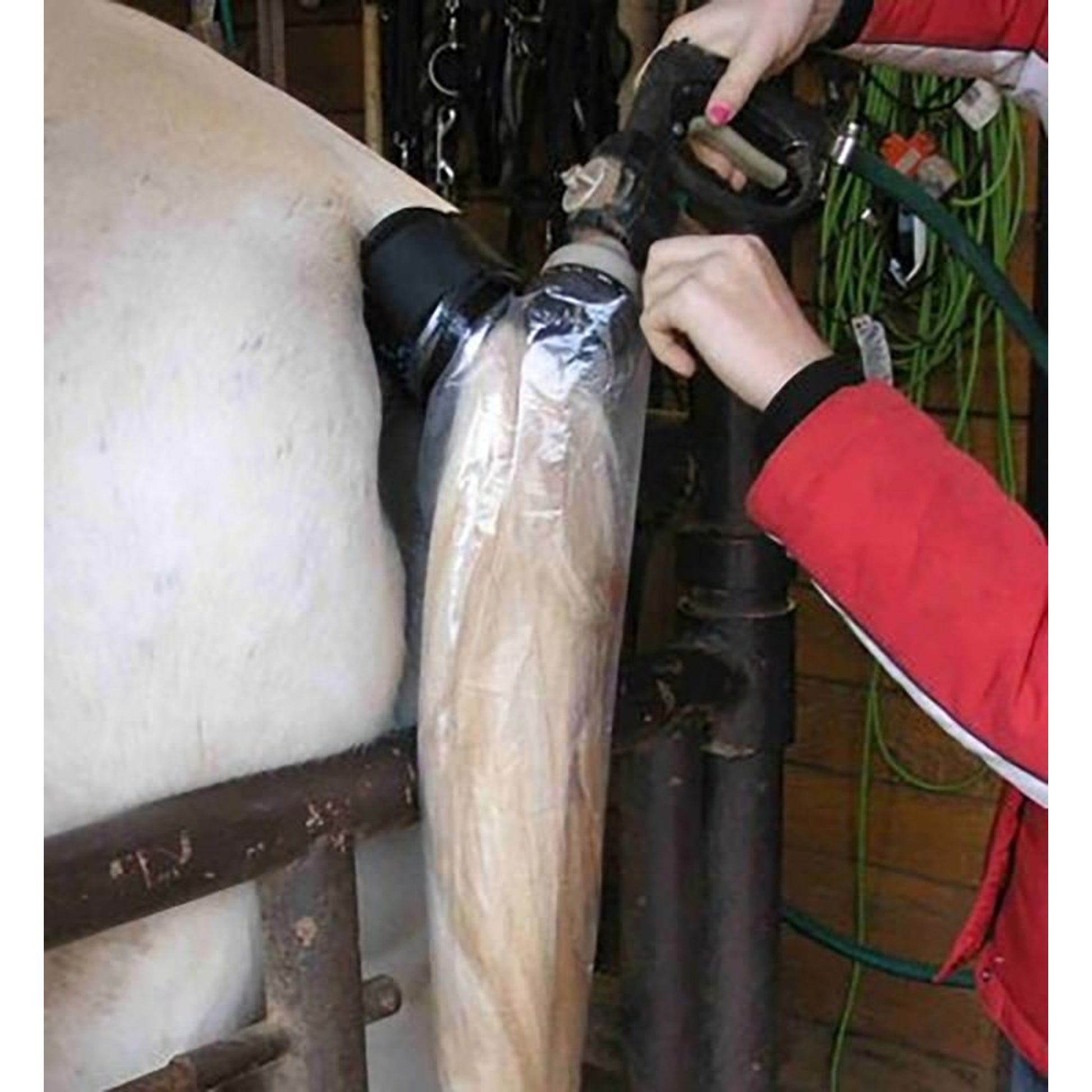 Horse Spa Tail Bucket Starter Kit
