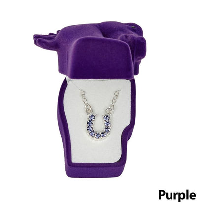 Horseshoe Necklace with Crystals