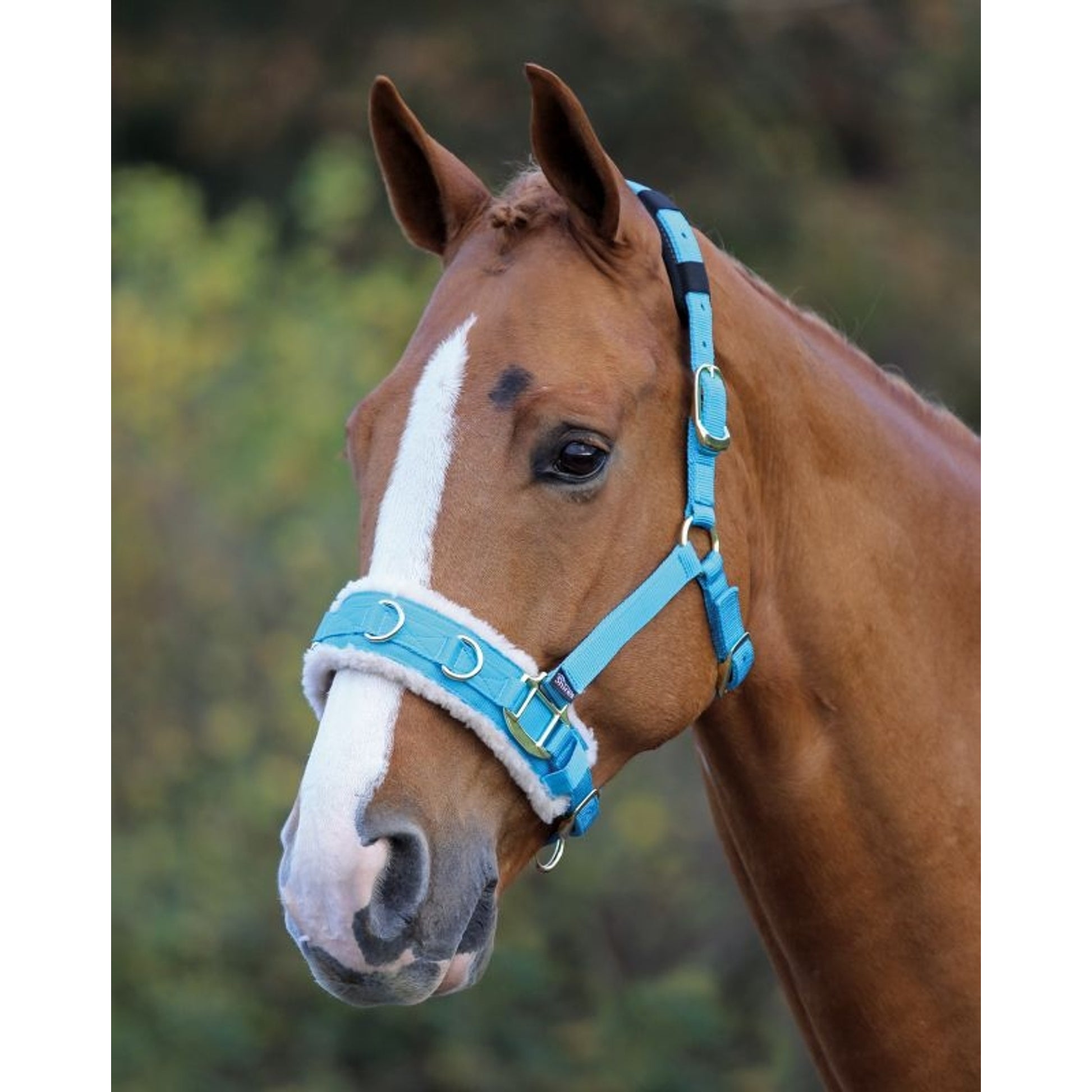 Shires Fleece Lined Lunge Cavesson