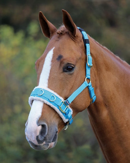 Shires Fleece Lined Lunge Cavesson