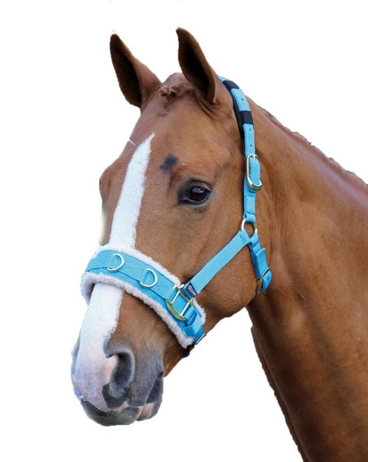 Shires Fleece Lined Lunge Cavesson