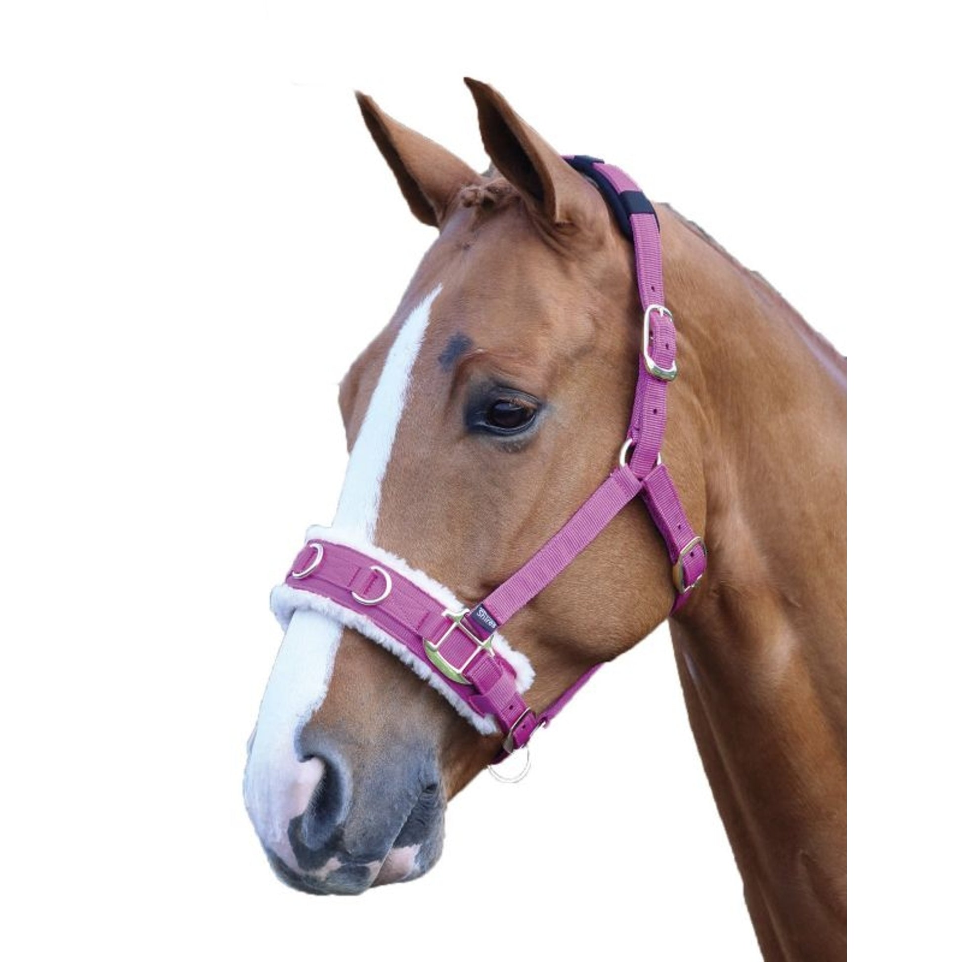 Shires Fleece Lined Lunge Cavesson