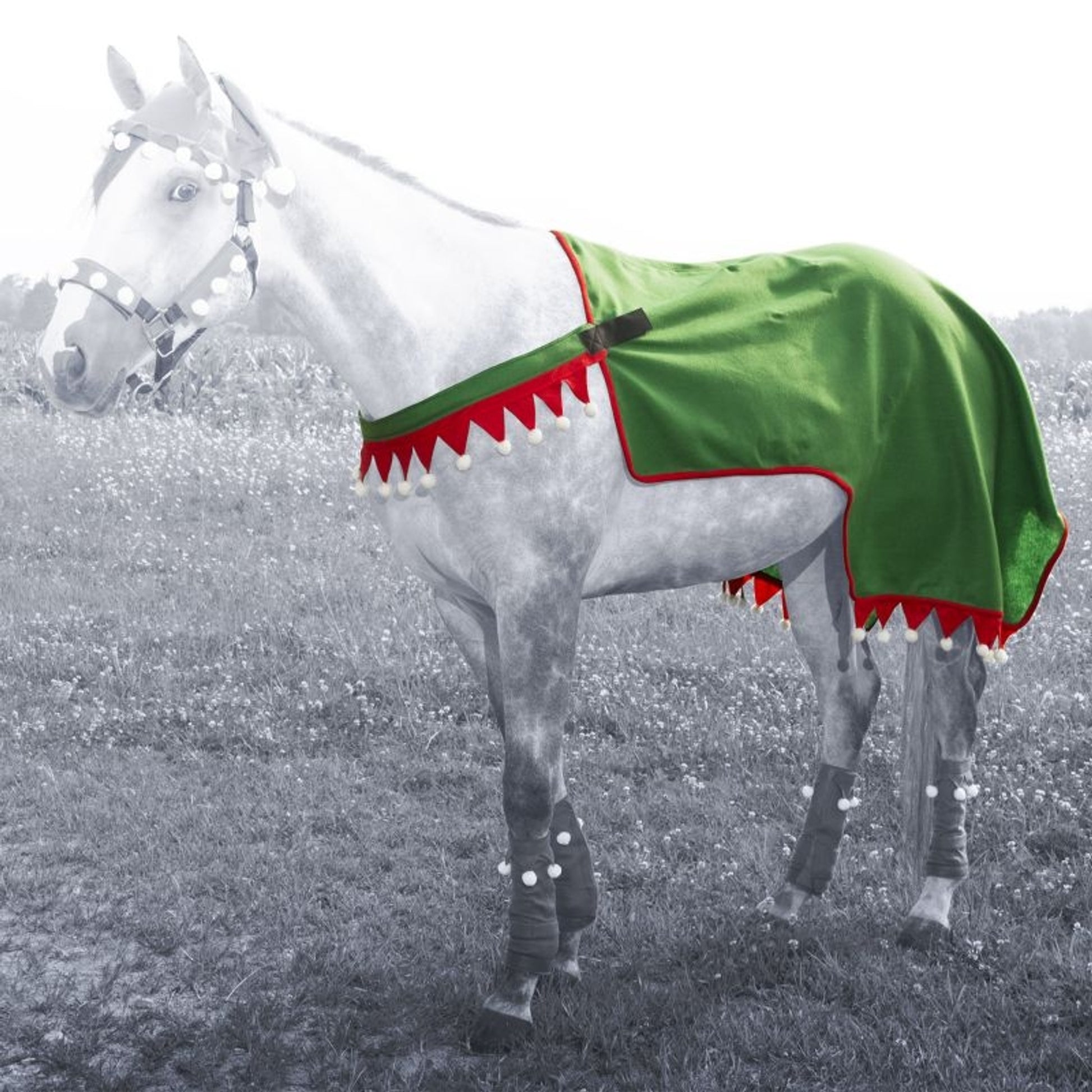 Holiday Elf Quarter Sheet