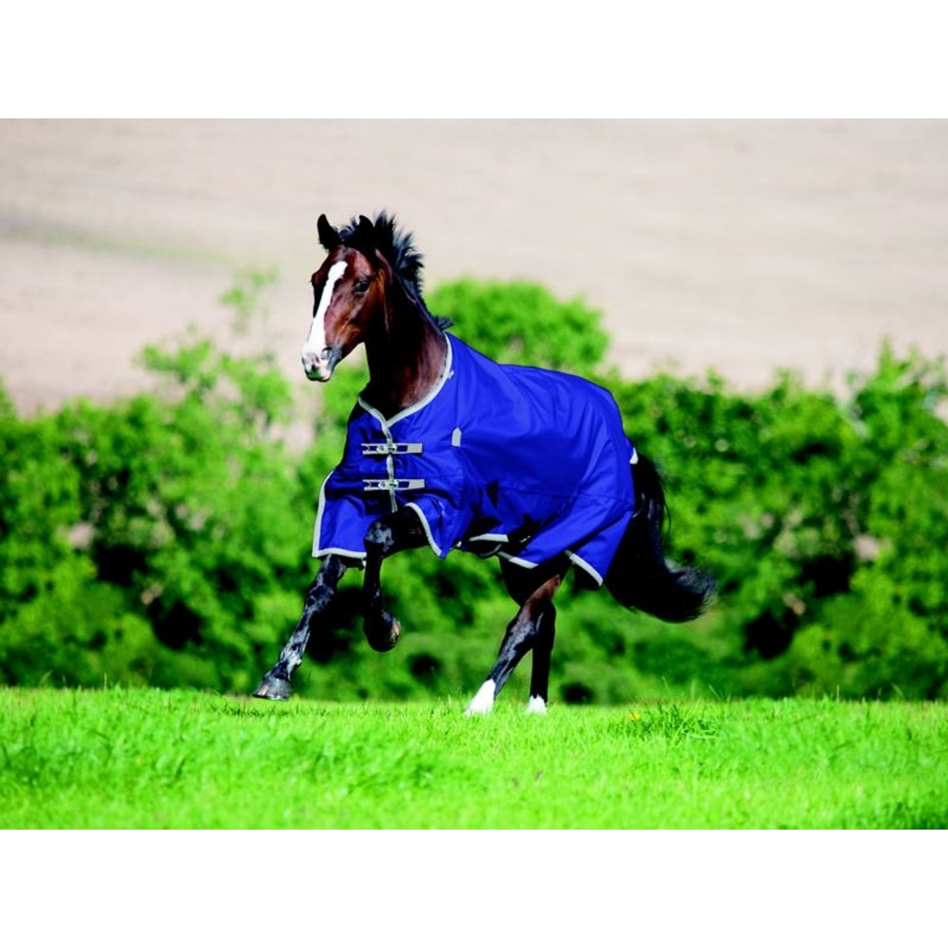 Shires Highlander Plus Lite Standard