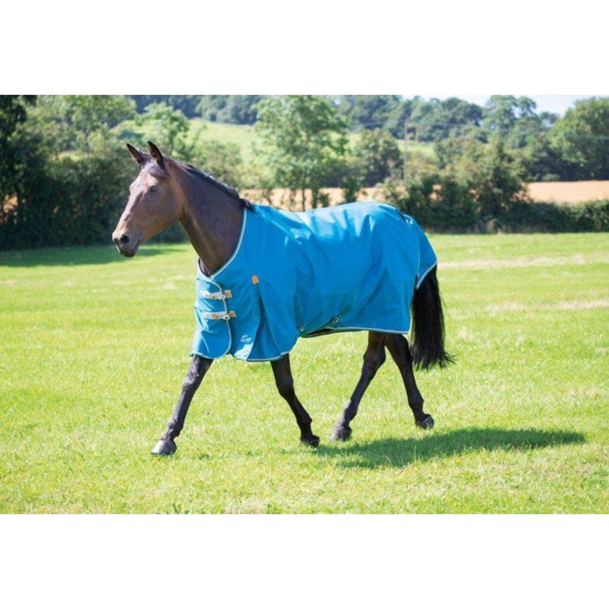Shires Highlander Plus Lite Standard