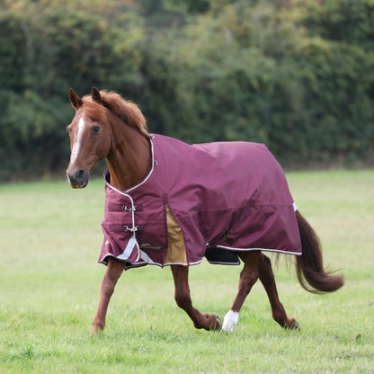 Shires Highlander Plus Lite Standard