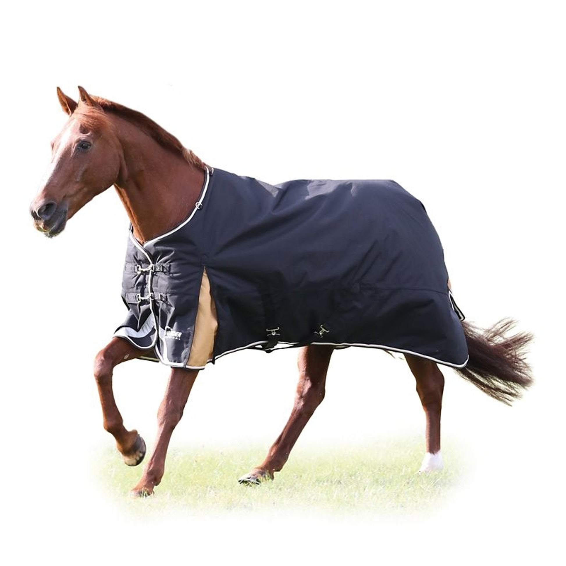 Shires Highlander Plus 200 Standard Neck Blanket