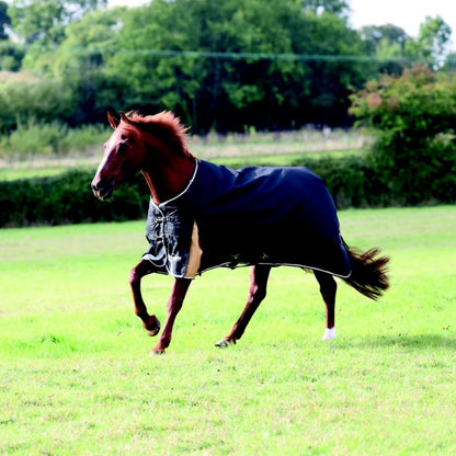 Shires Highlander Plus 200 Standard Neck Blanket