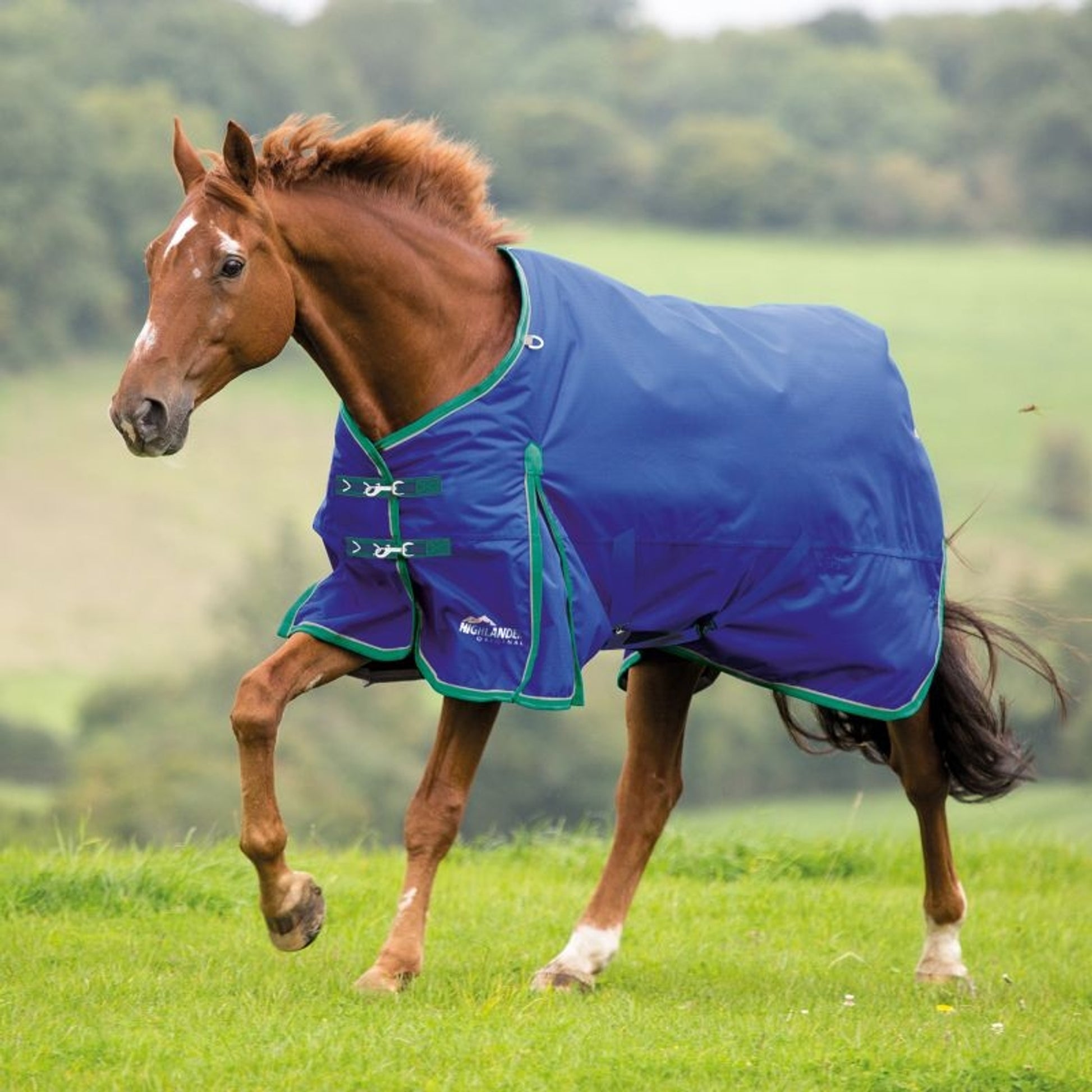 Shires Highlander Plus 200 Standard Neck Blanket