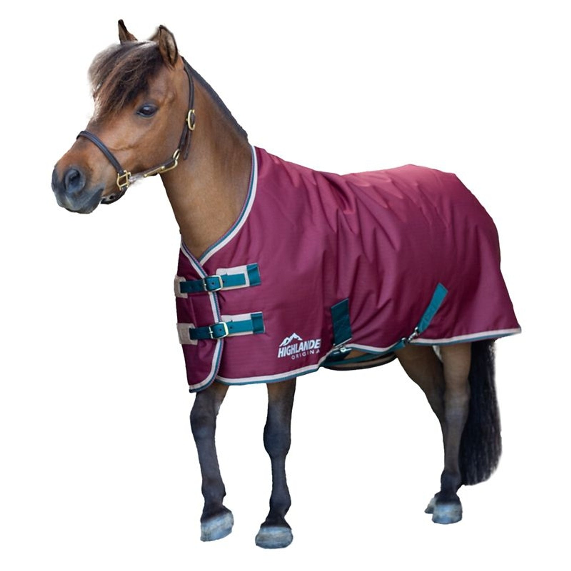 Shires Mini Highlander 200g TO