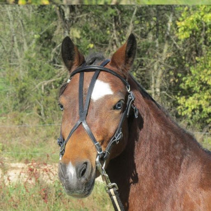 Jacks Beta Stirrup Straps - Sold in Pairs 48" Blac