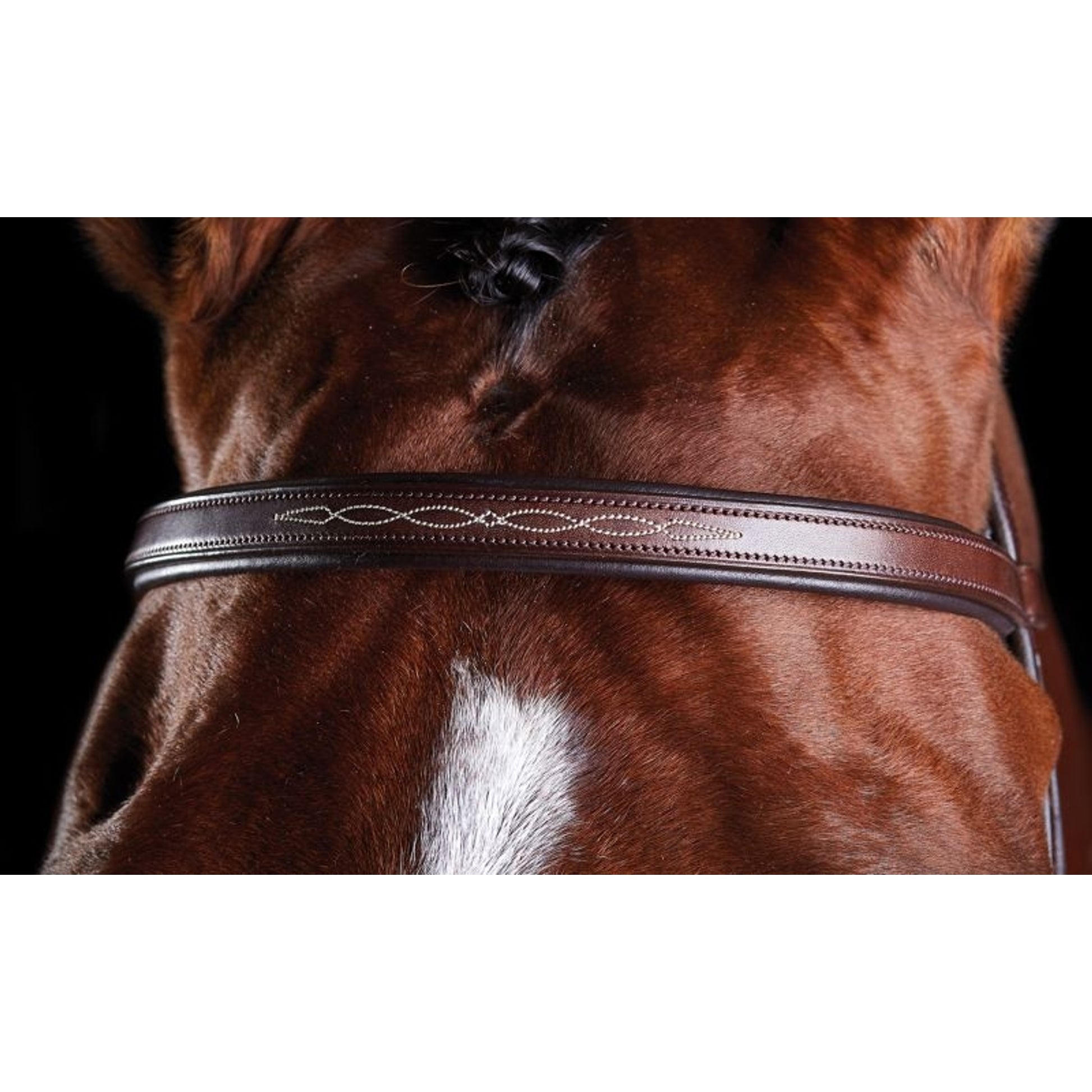 Collegiate ComFiTec Fancy Stitch Bridle