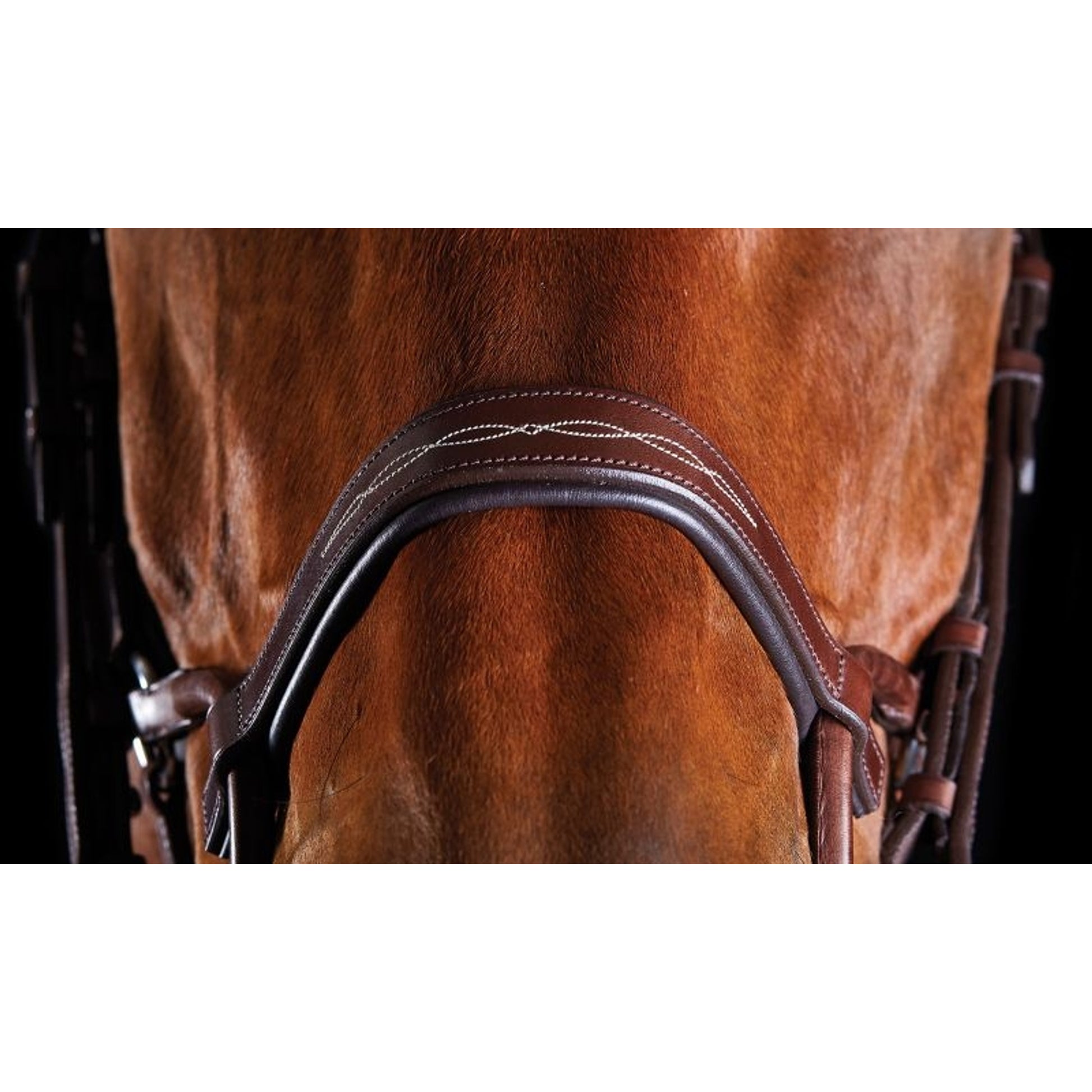 Collegiate ComFiTec Fancy Stitch Bridle