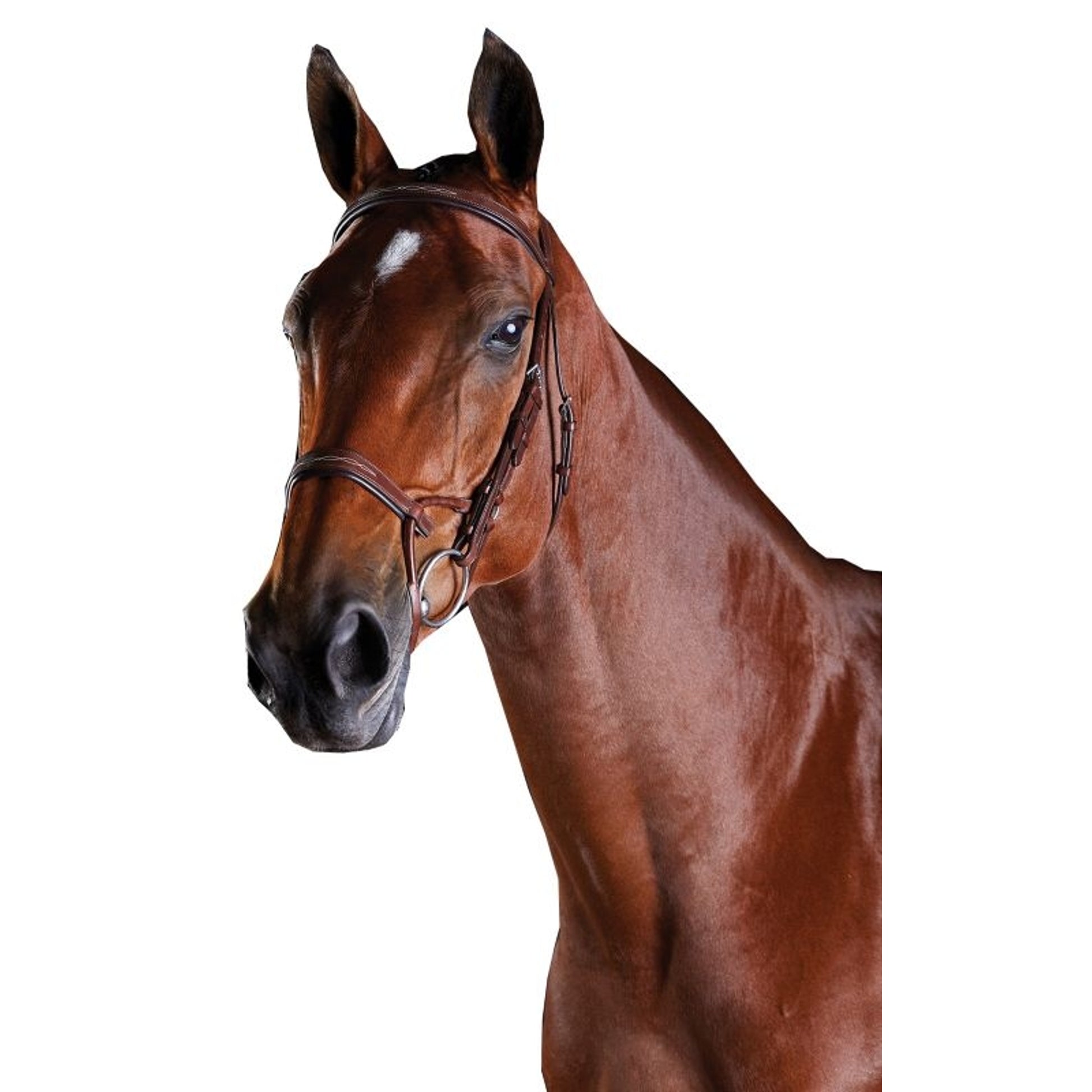 Collegiate ComFiTec Fancy Stitch Bridle