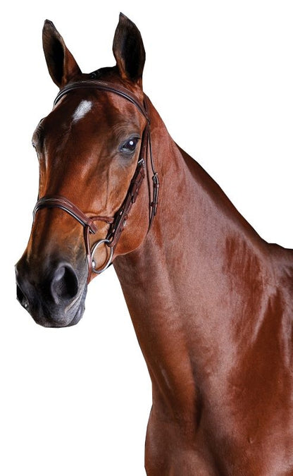 Collegiate ComFiTec Fancy Stitch Bridle
