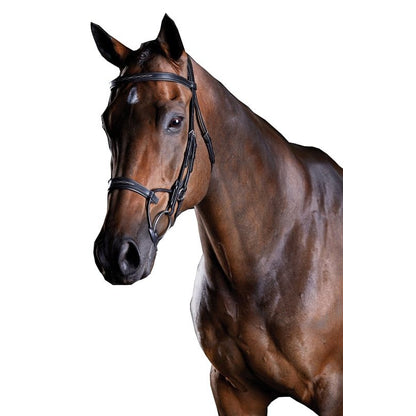 Collegiate ComFiTec Fancy Stitch Bridle