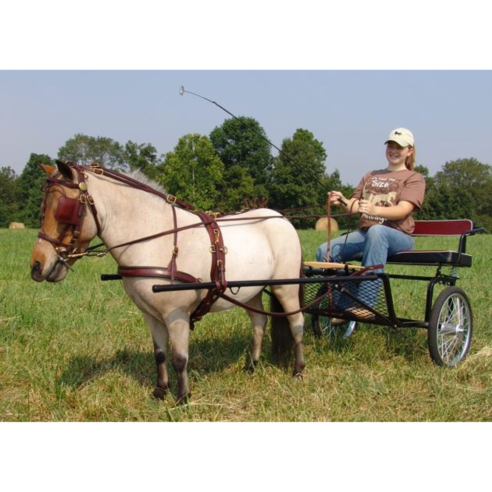 Ozark Kildow Mini/Pony Breaking Driving Harness