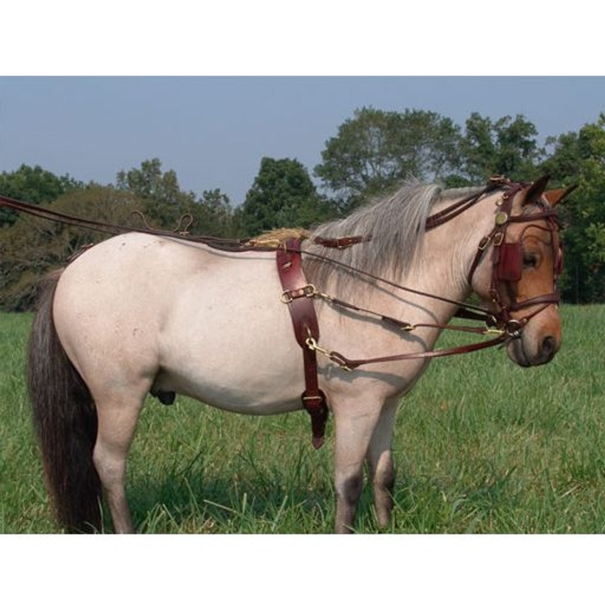 Ozark Kildow Mini/Pony Breaking Driving Harness