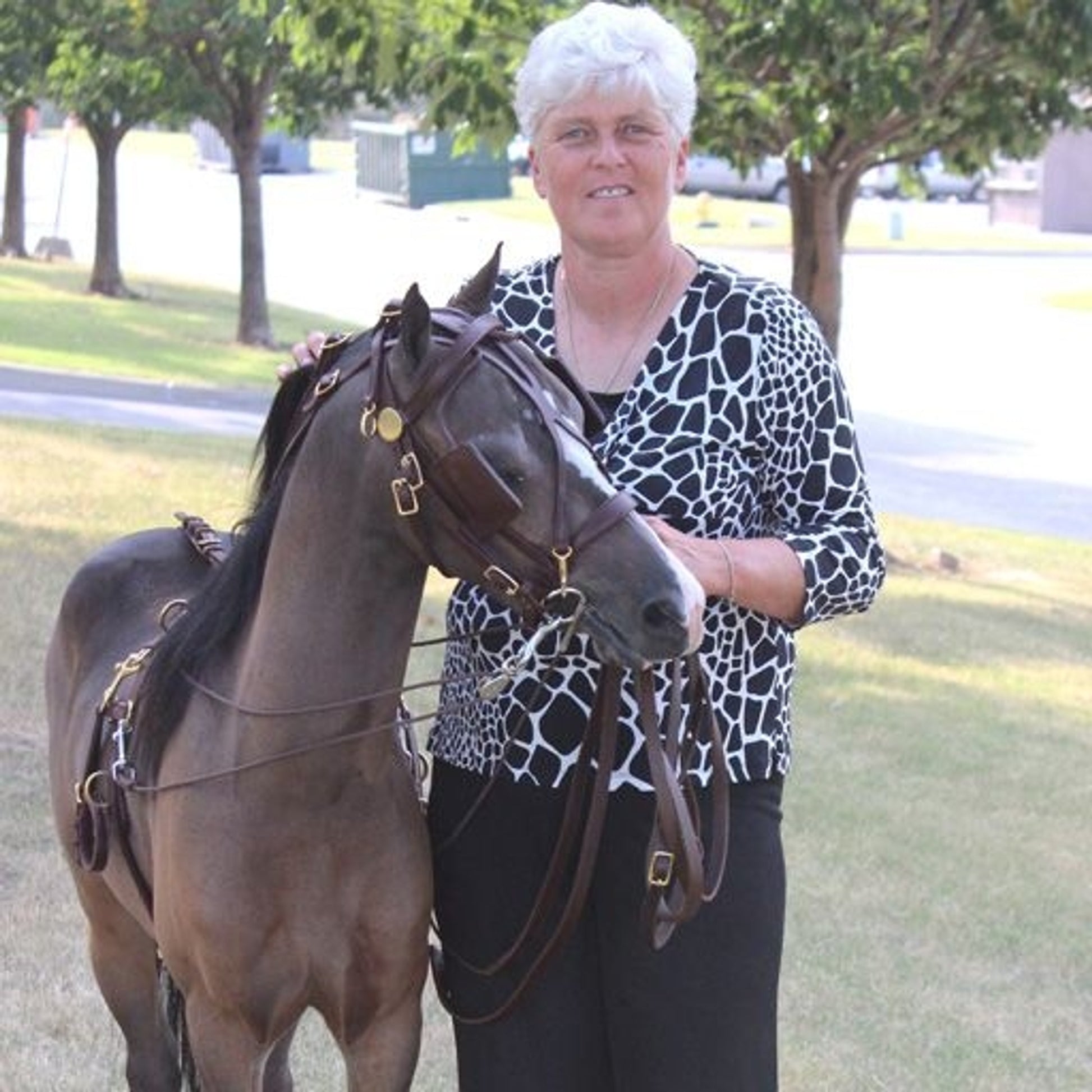 Ozark Kildow Mini/Pony Breaking Driving Harness