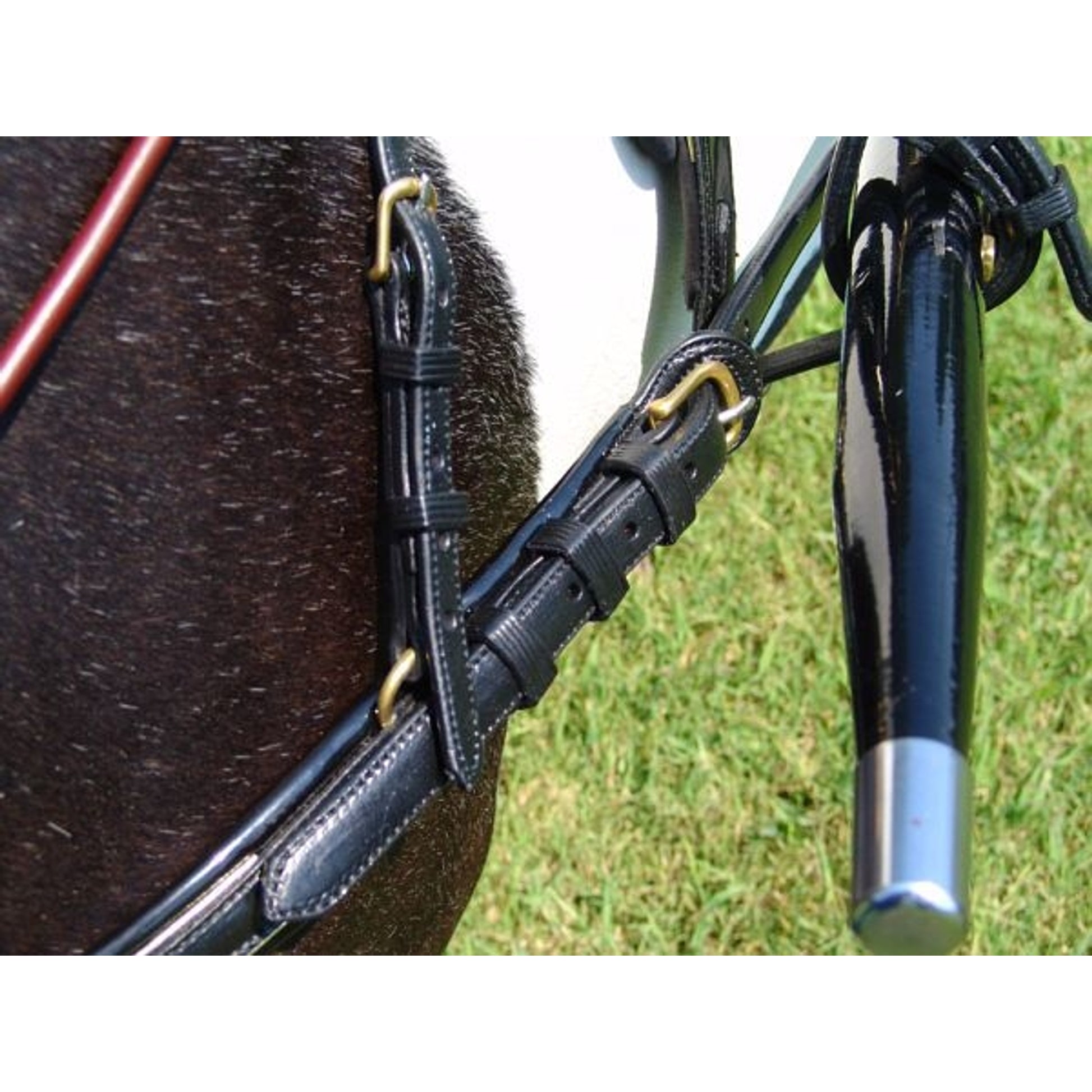 Ozark Mini Fancy Rolled Leather Harness