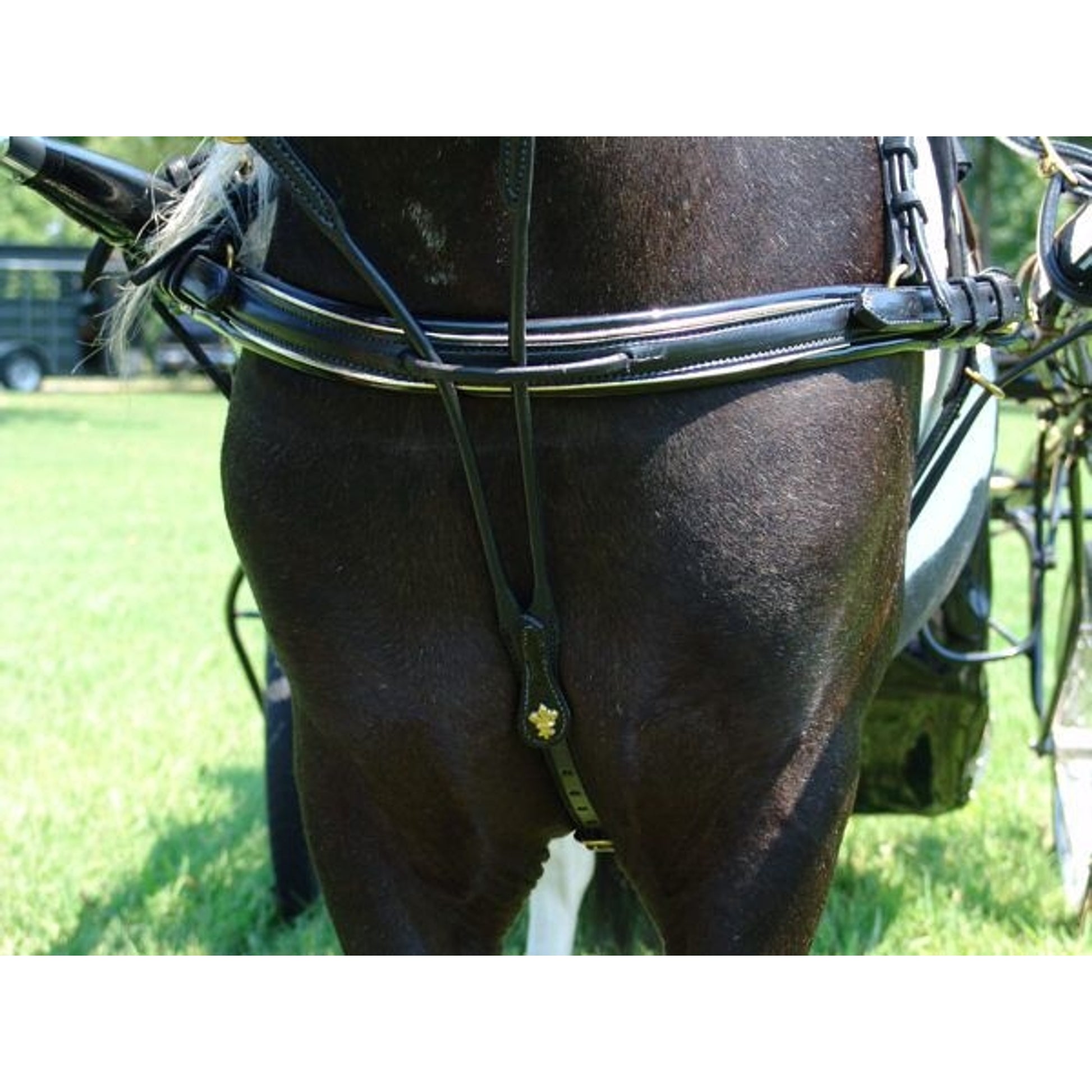 Ozark Mini Fancy Rolled Leather Harness