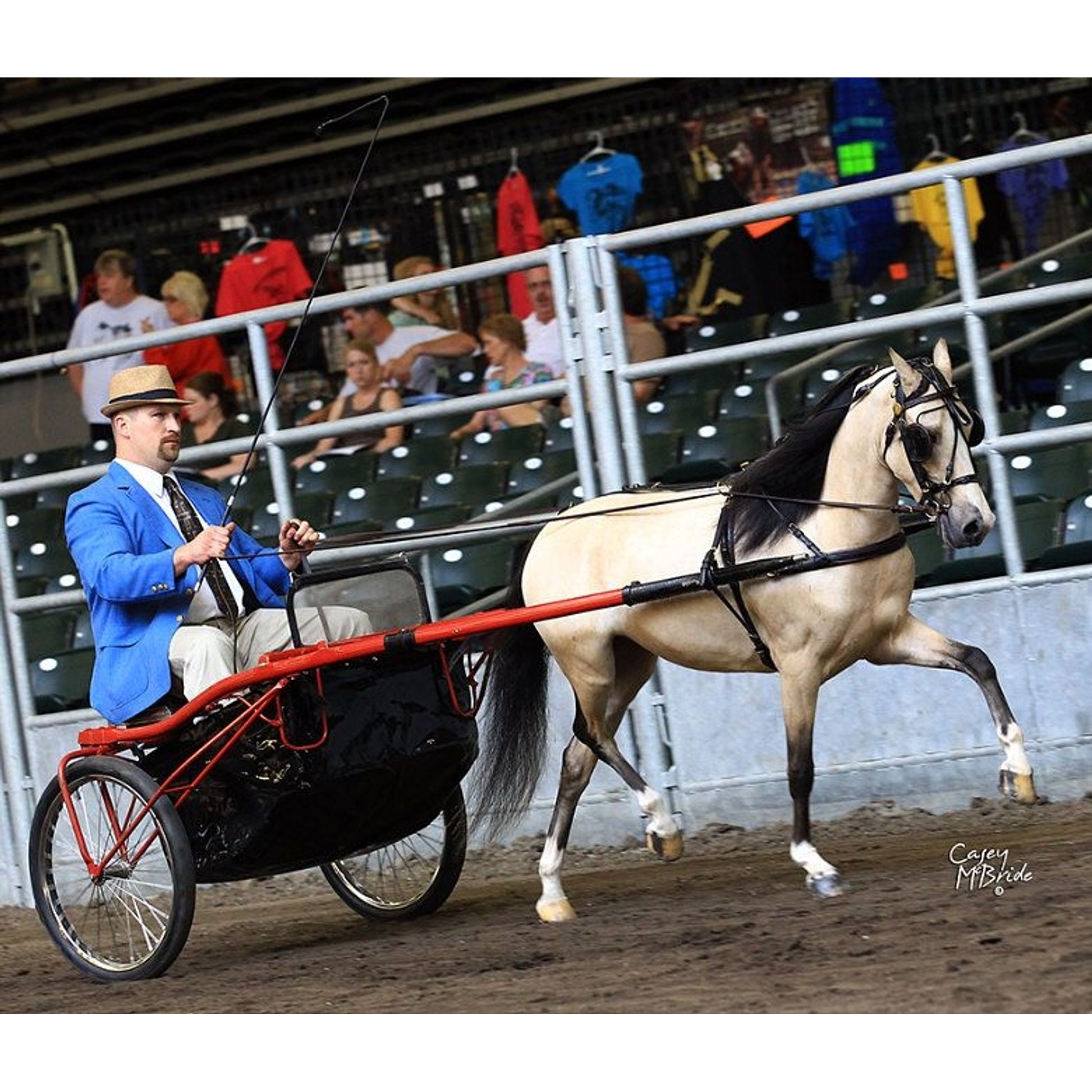 Ozark Mini Fancy Rolled Leather Harness