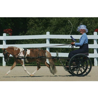 Ozark Mini Fancy Rolled Leather Harness