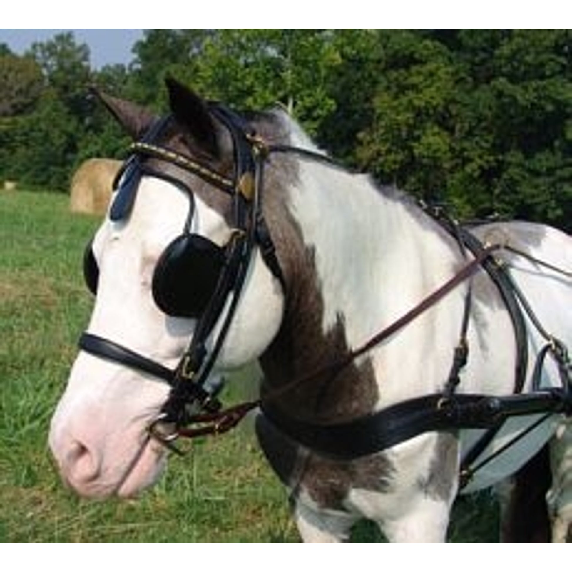 Ozark Mini/Pony V Breast Collar