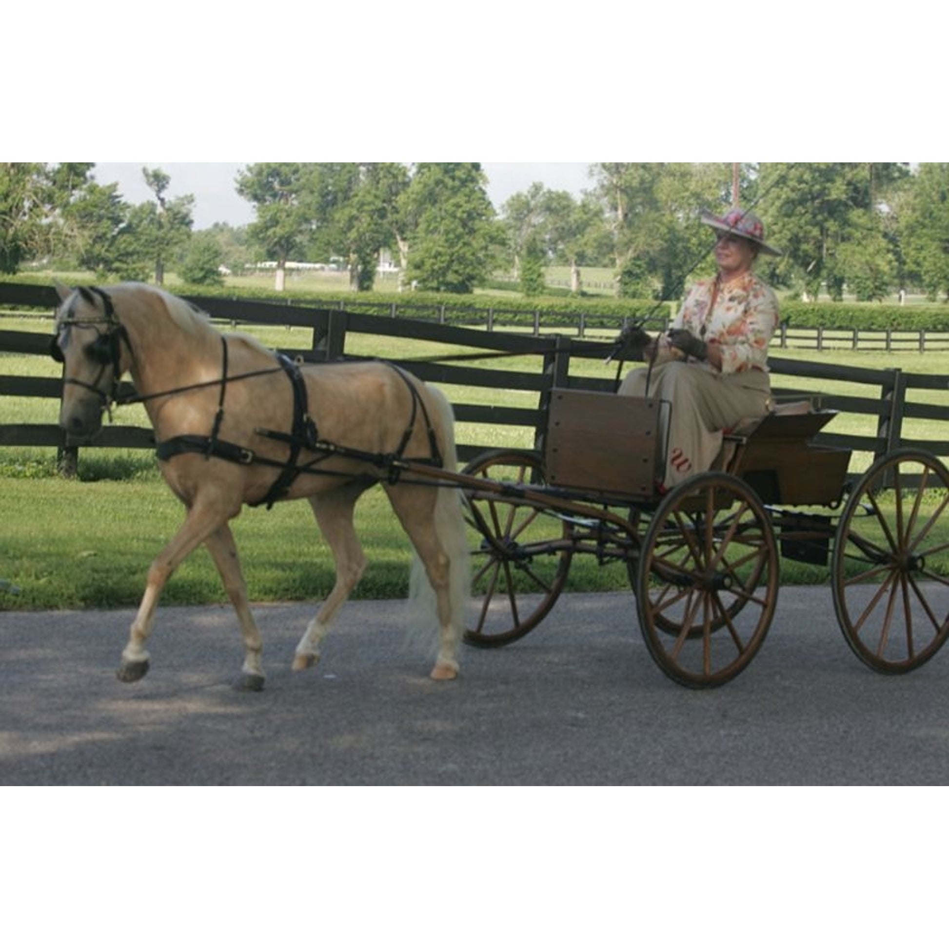 Ozark Mini/Pony V Breast Collar