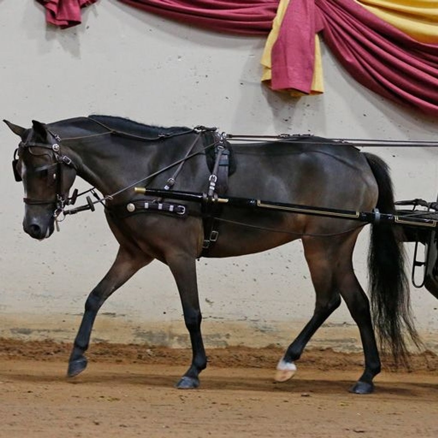 TE023717_01.jpg