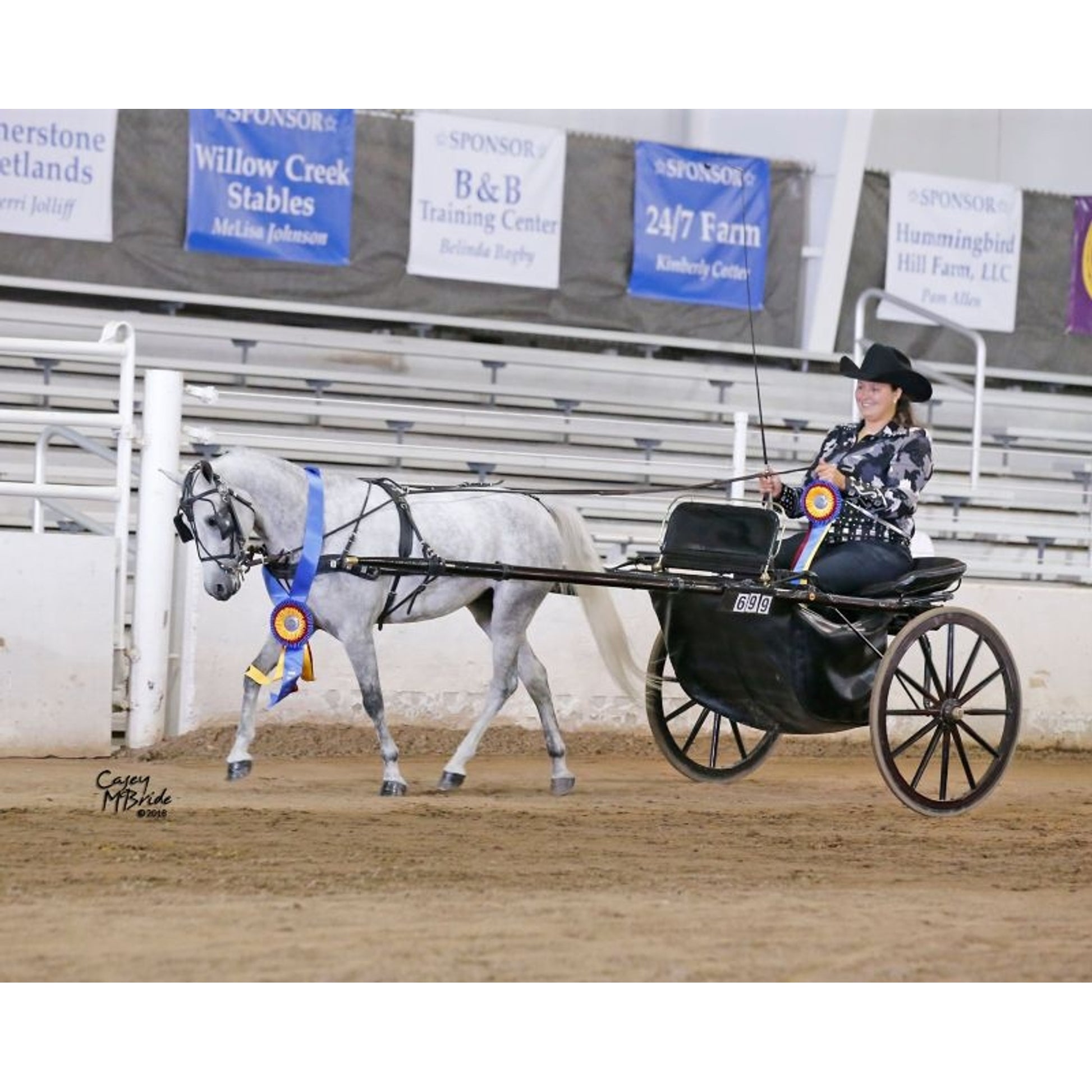 Ozark Min/Pony Western Show Harness