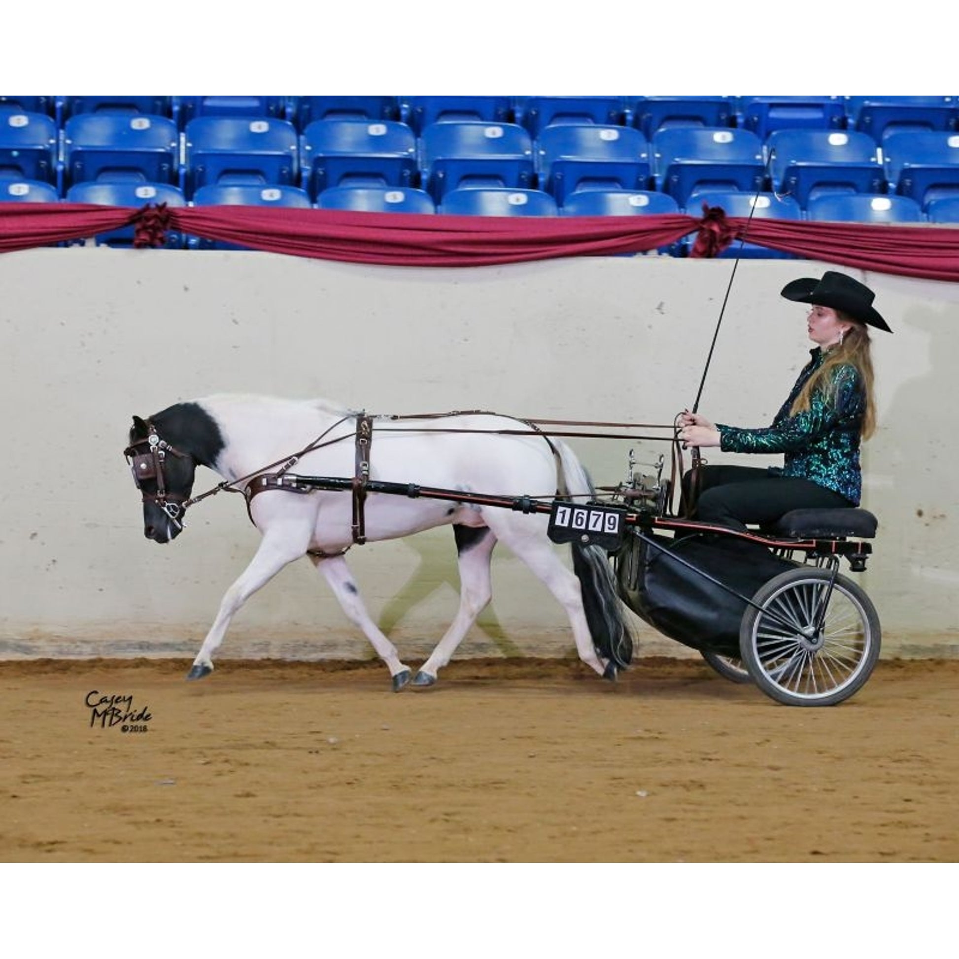 Ozark Min/Pony Western Show Harness