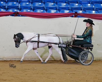 Ozark Min/Pony Western Show Harness