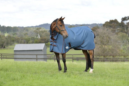 Weatherbeeta ComFiTec Classic Combo Neck Medium