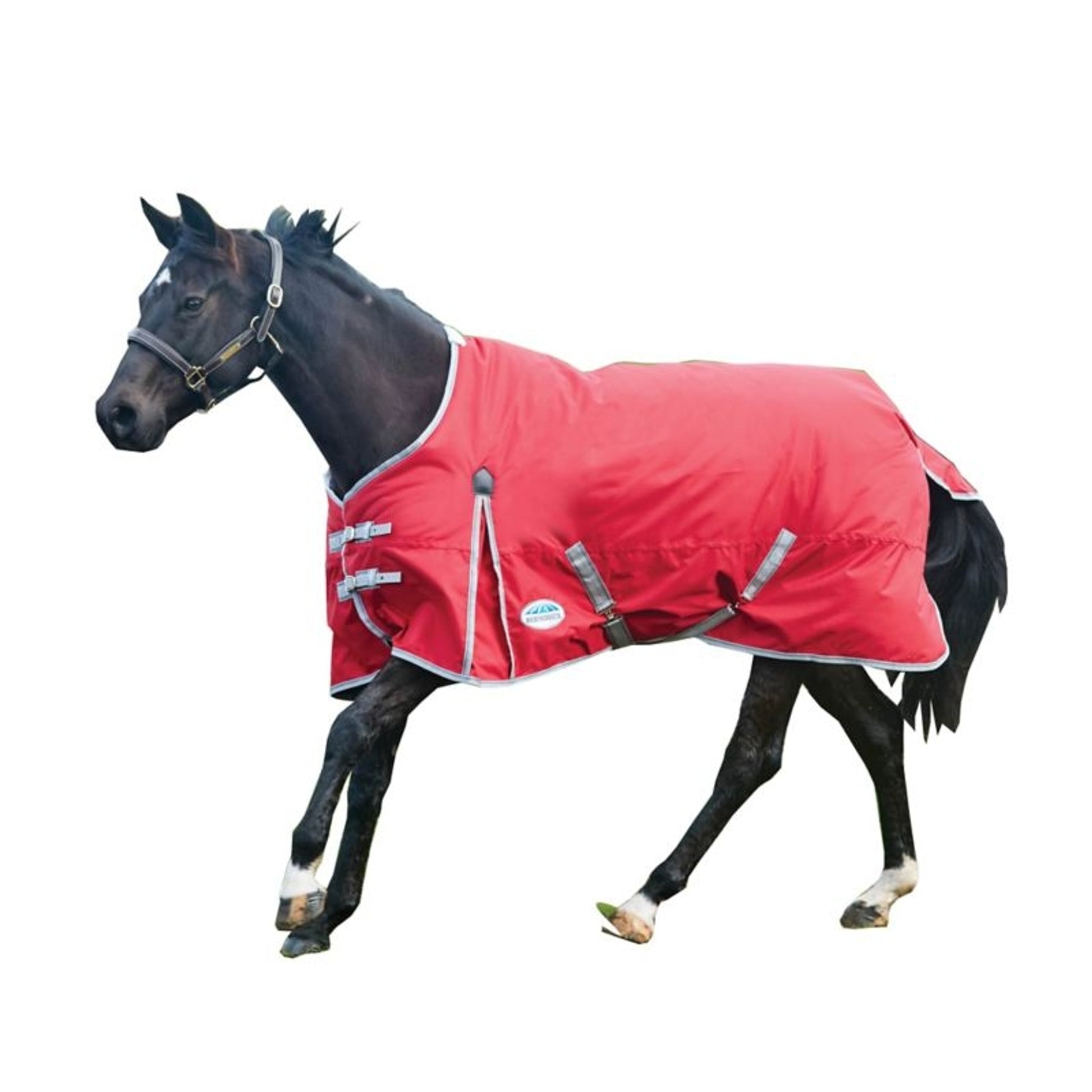 Weatherbeeta ComFiTec Classic Medium Turnout Blanket
