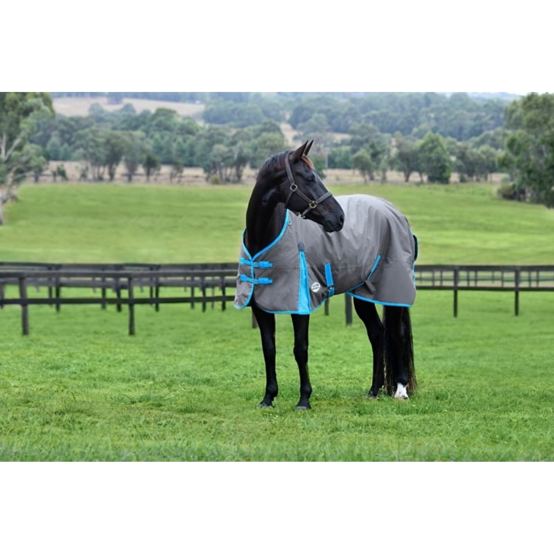Weatherbeeta ComFiTec Classic Standard Neck Lite