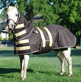 Ozark Mini/Pony Light Waterproof Blanket
