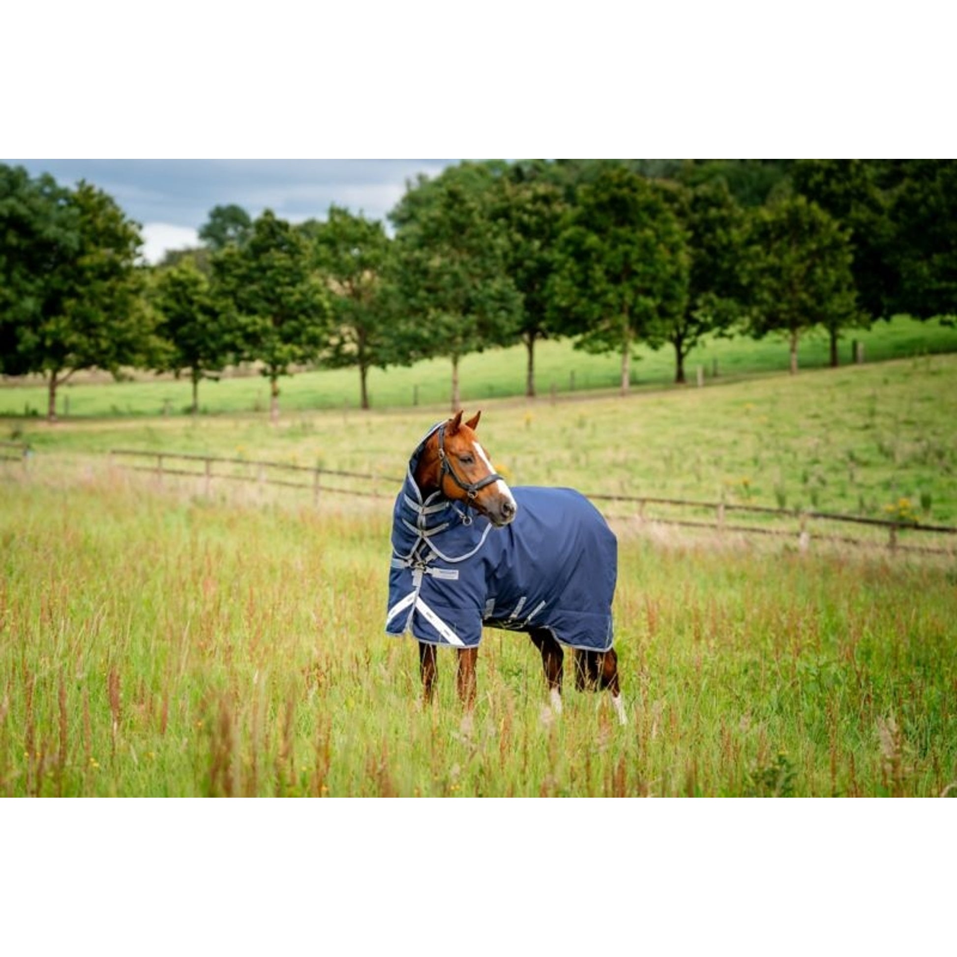 Rhino Plus Turnout Lite