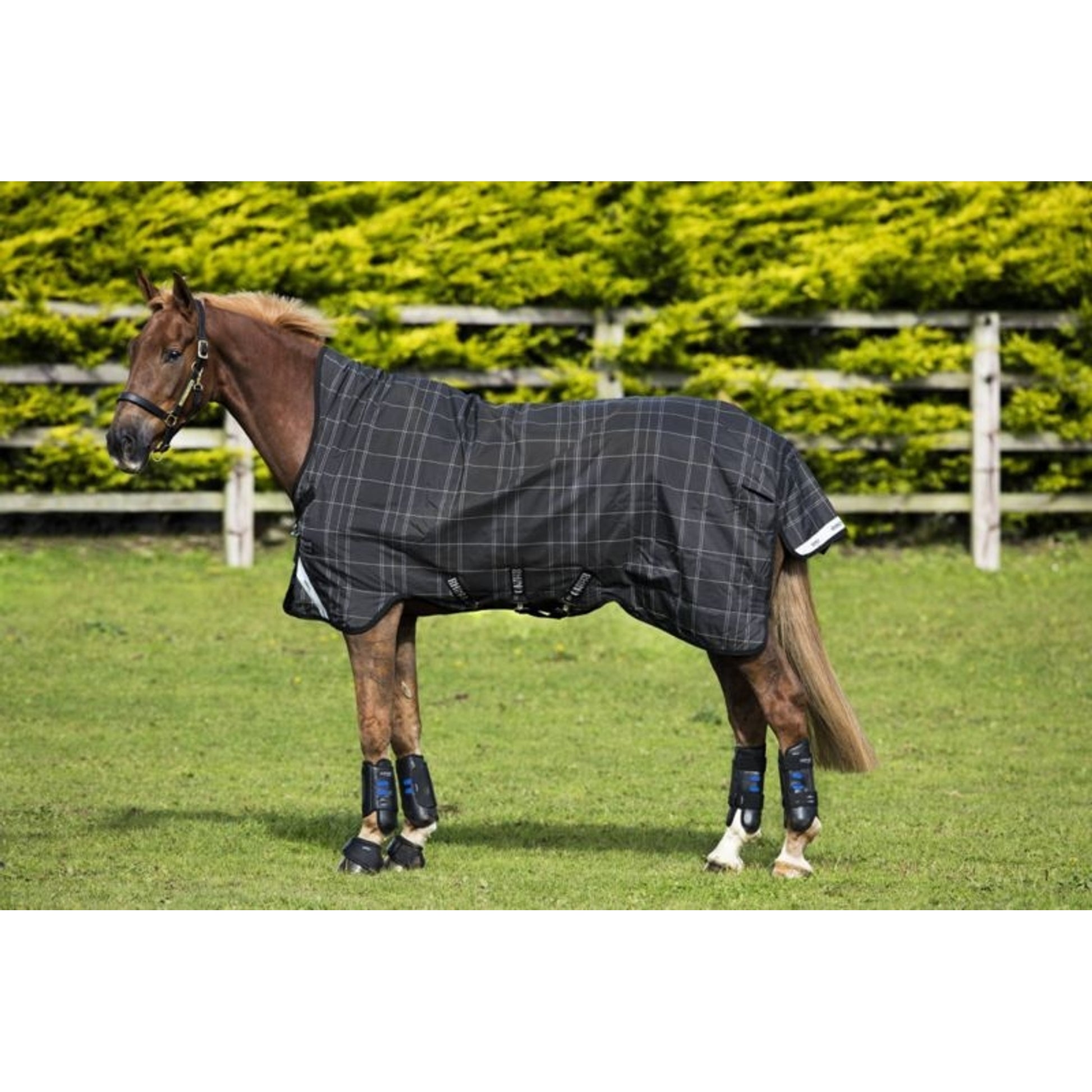 Rhino Wug Turnout Blanket 100g