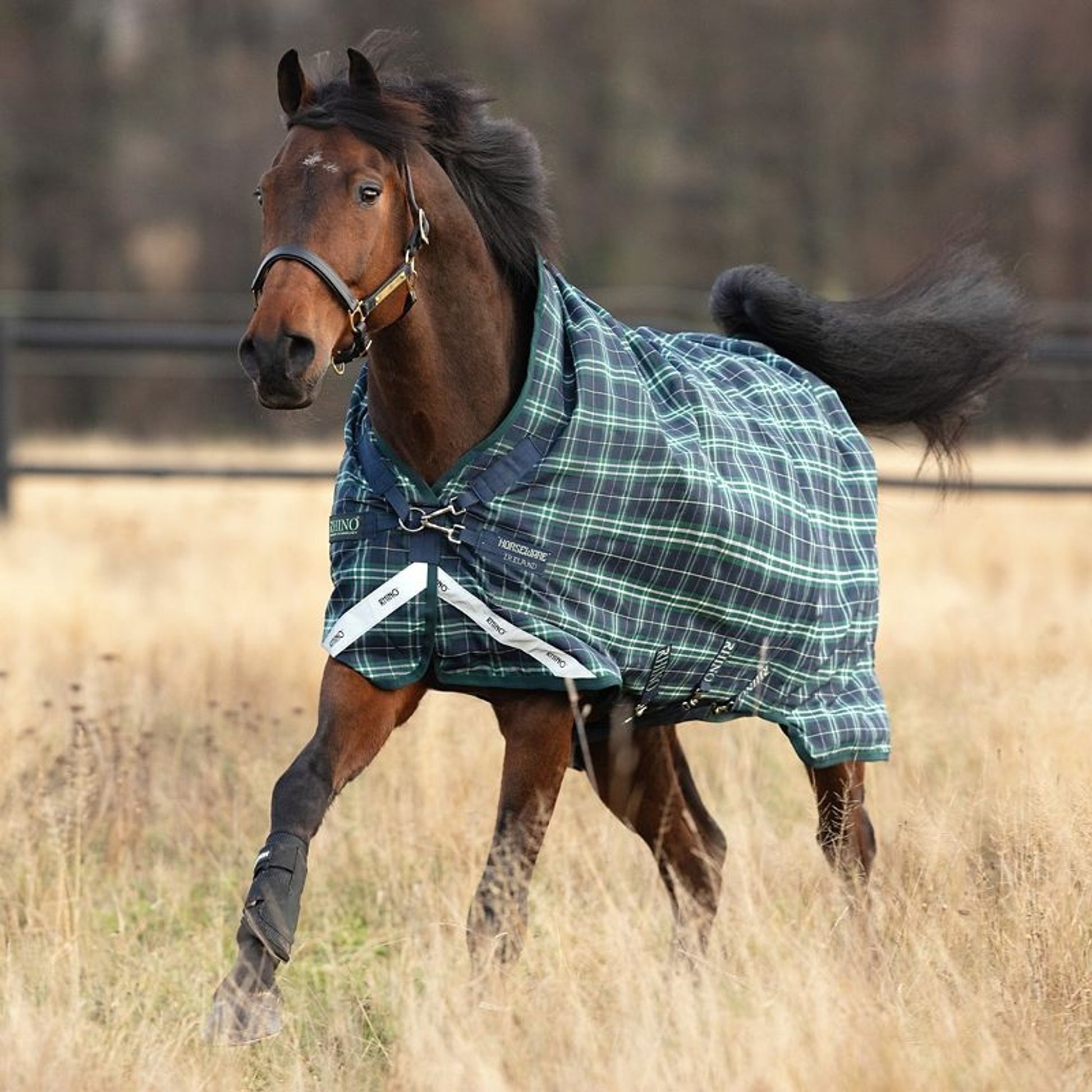 Rhino Wug Turnout Blanket 100g