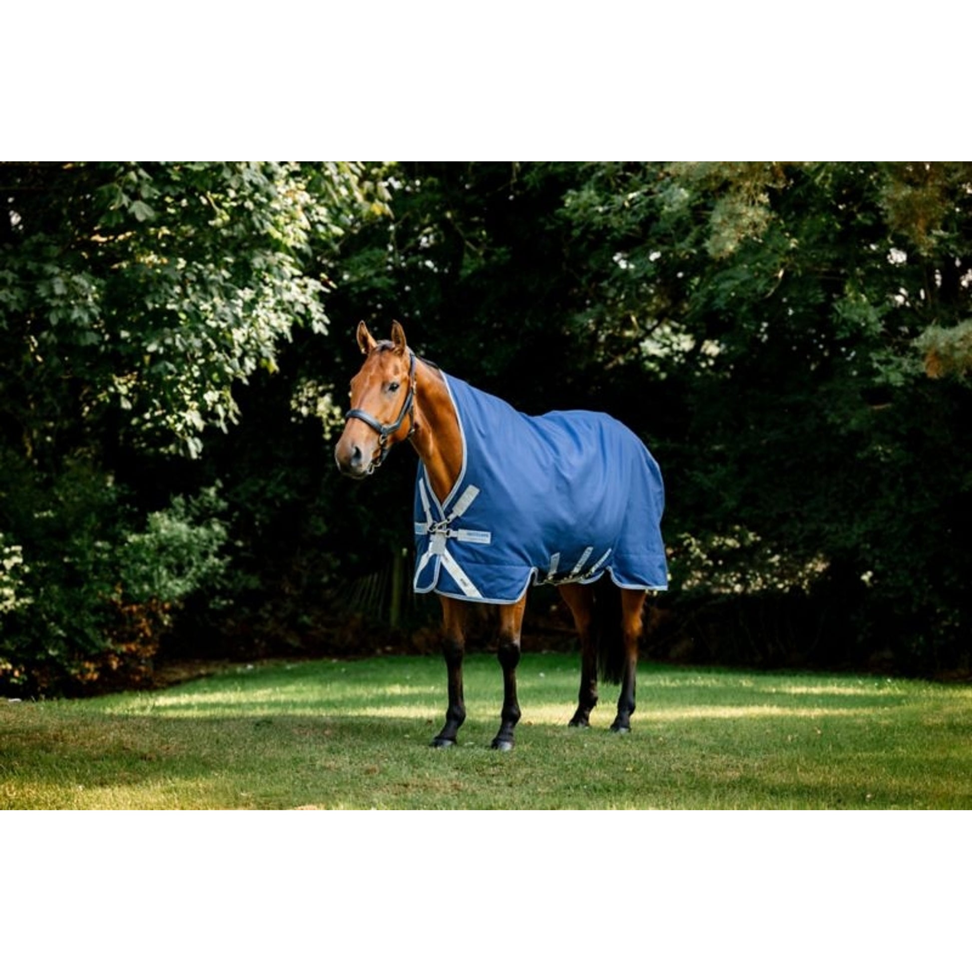 Rhino Wug Turnout Blanket 100g