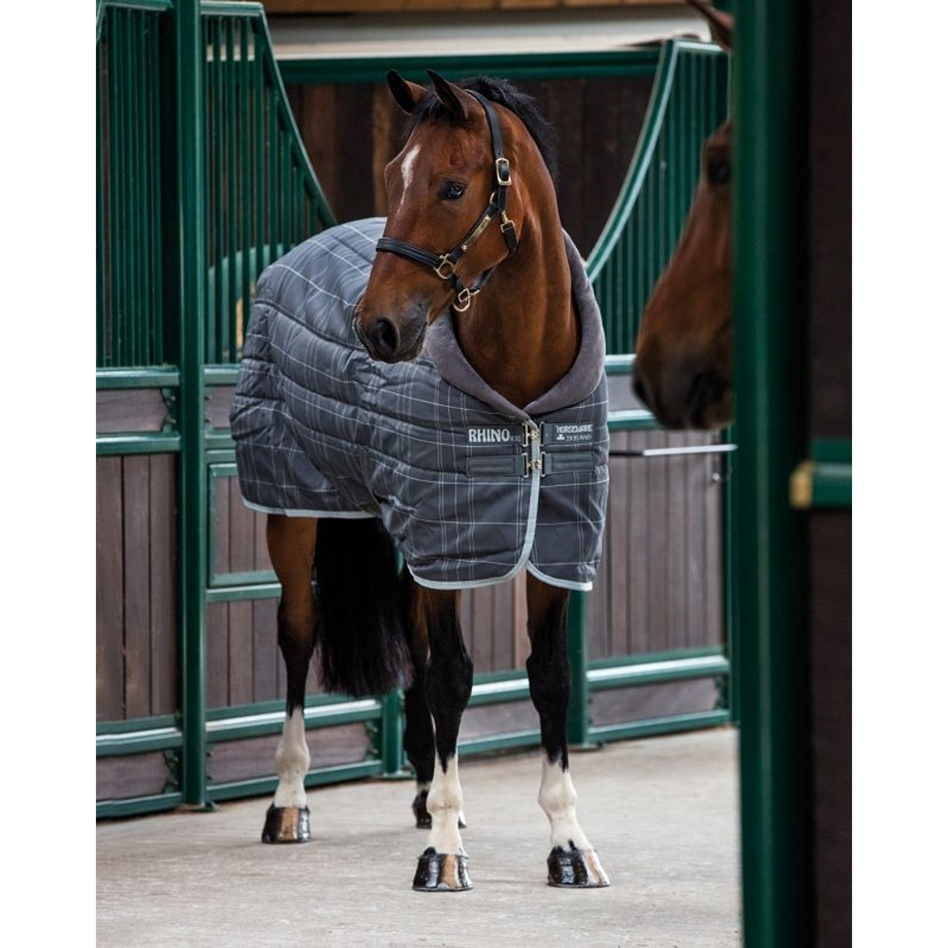 Rhino Org Stable Blanket VL Heavy
