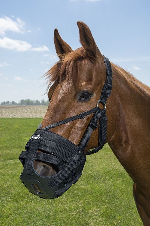 Tough1 Muzzle Replacement Crown/Chin Pad Set