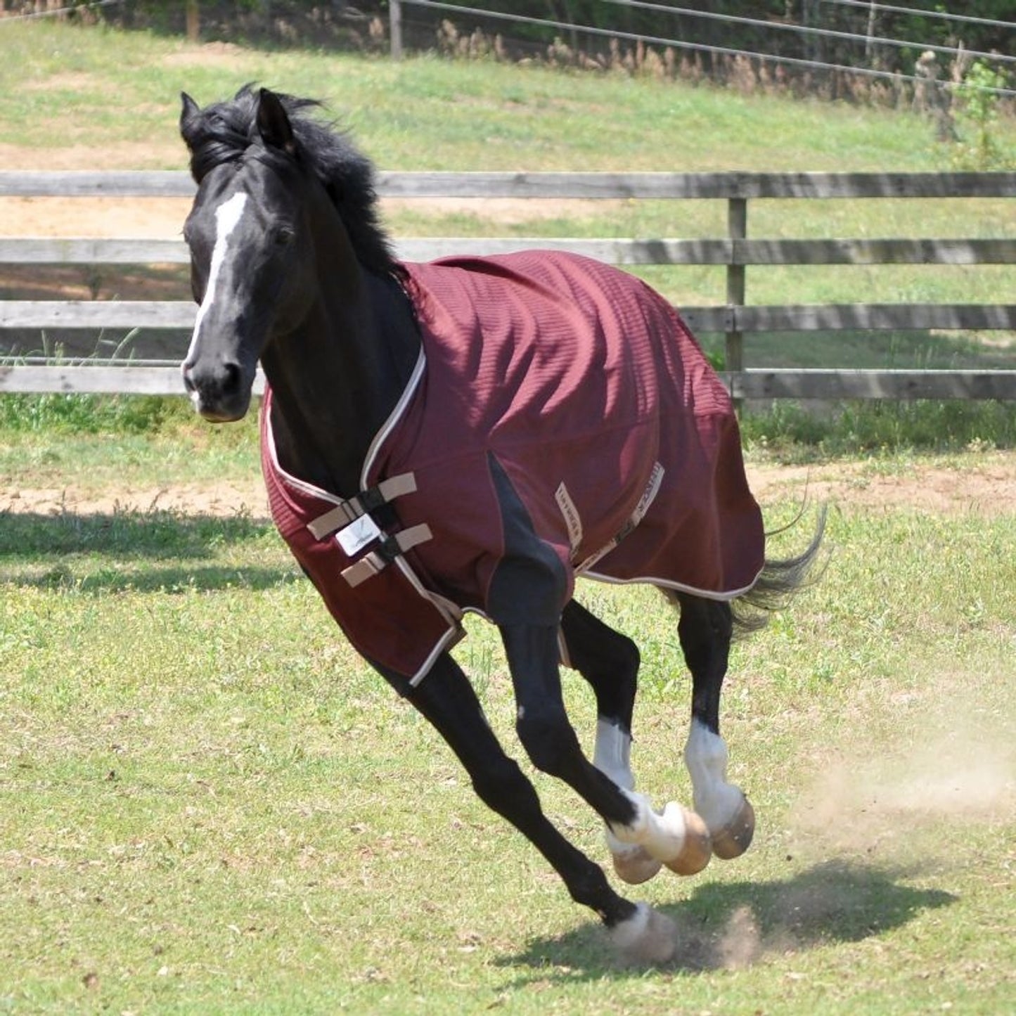 TE025106.jpg